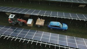 Solar Energy and Wildlife: Navigating the Balance